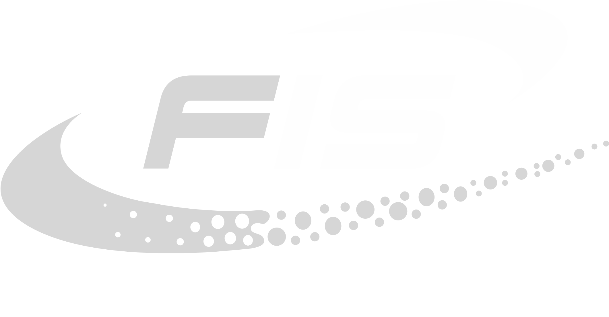 Fine Impex Sports Coupons